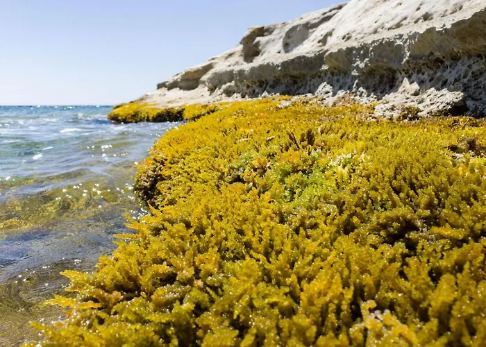 Casotto Il Carrubo, A 100 Mt Dal Mare!