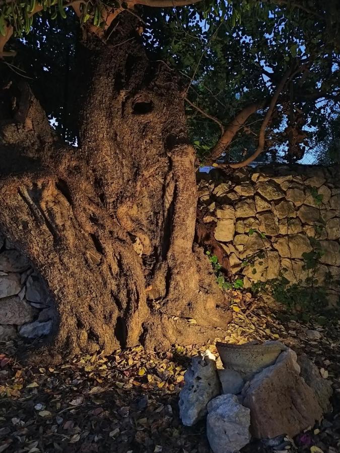 Casotto Il Carrubo, A 100 Mt Dal Mare! Avola